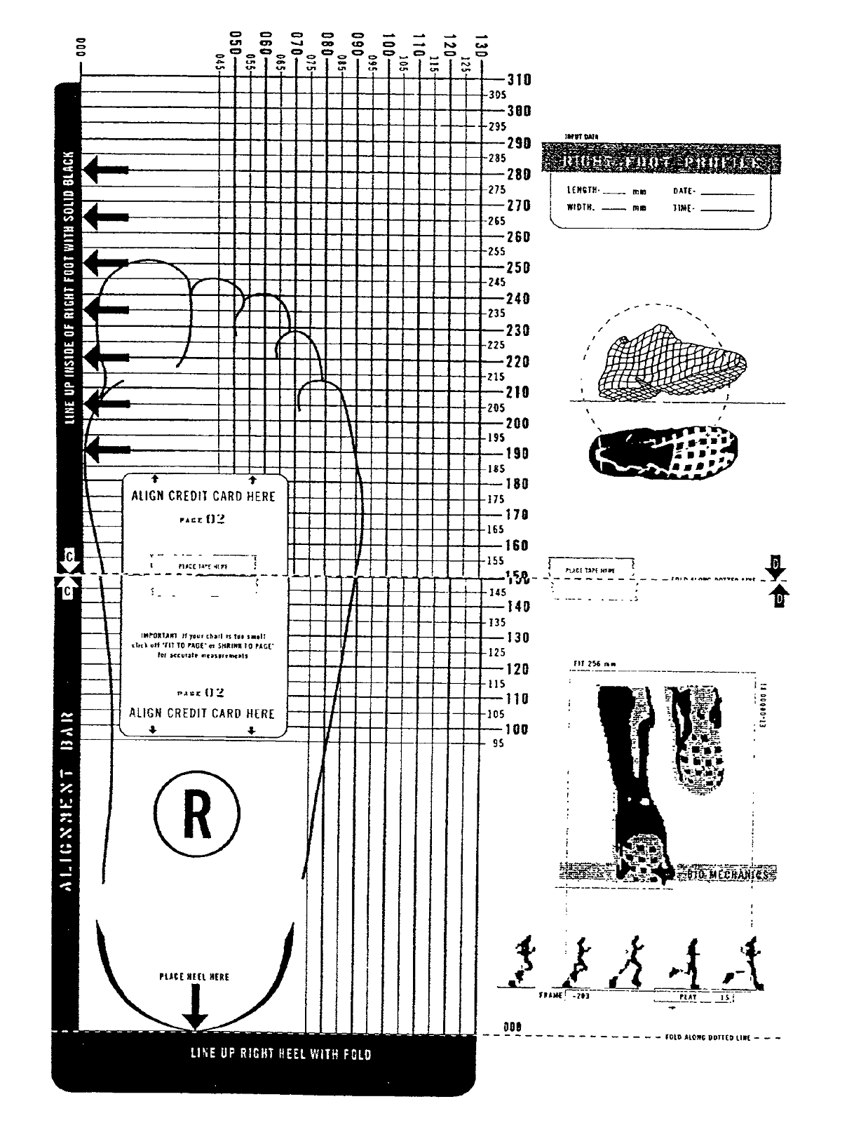 Foot Size Printable Chart