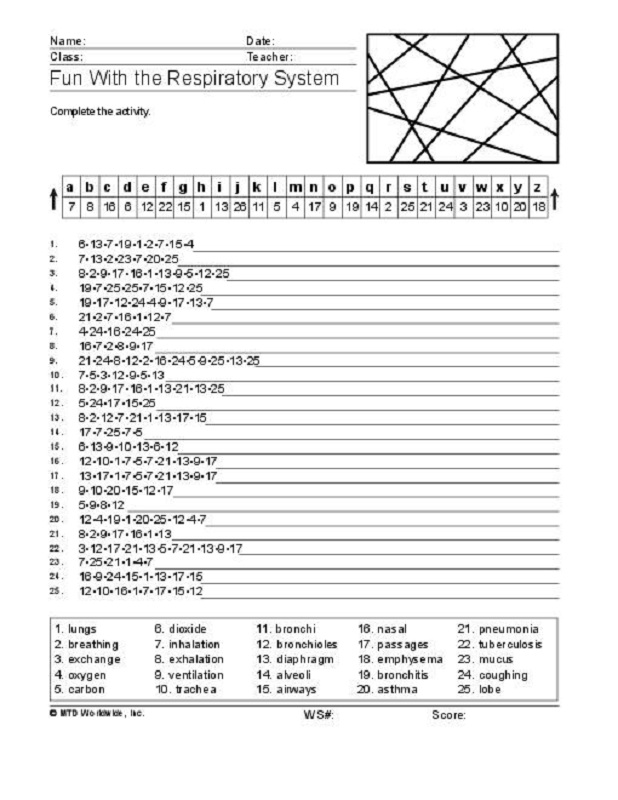 Respiratory System Crossword Puzzle | Activity Shelter