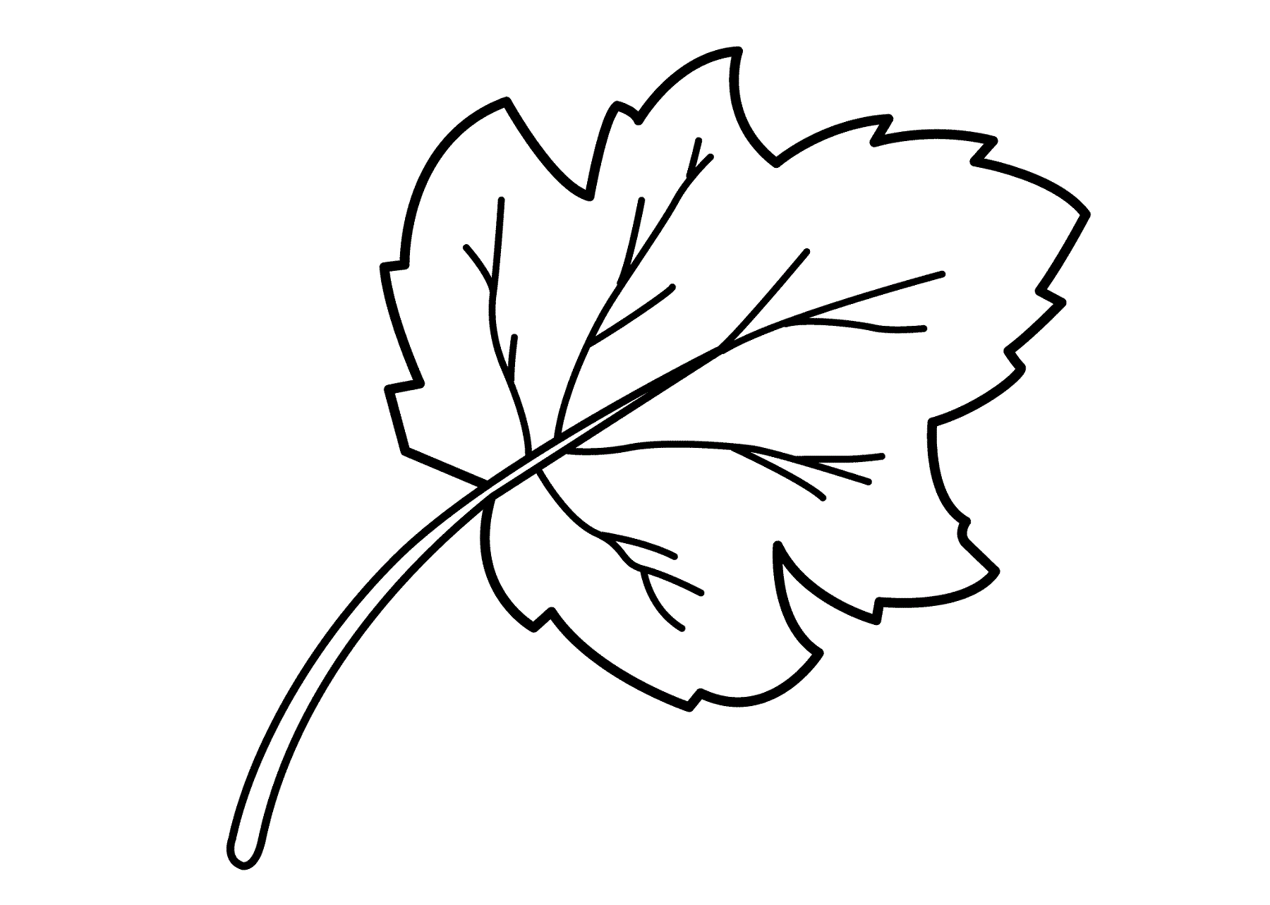 Leaf Coloring Pages for Preschool Activity Shelter