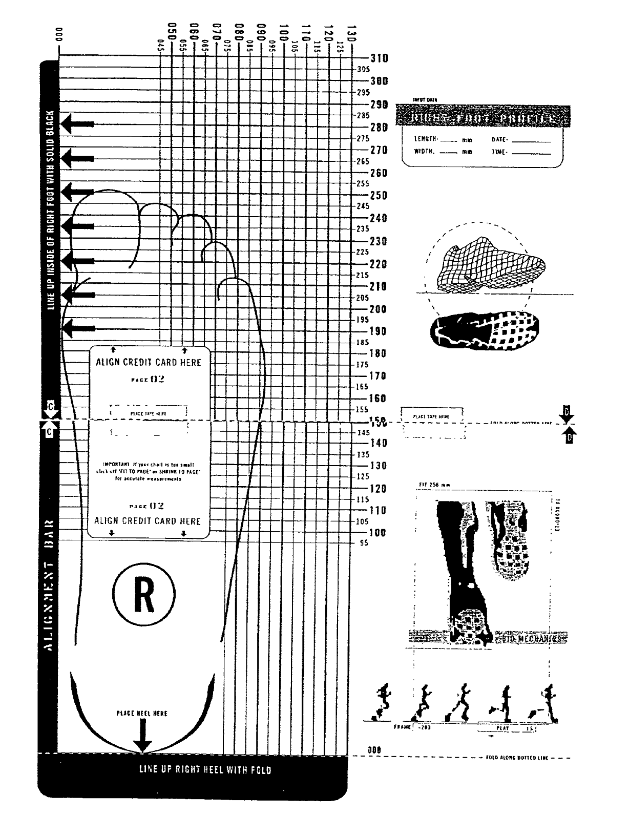 Printable Women's Shoe Size Chart
