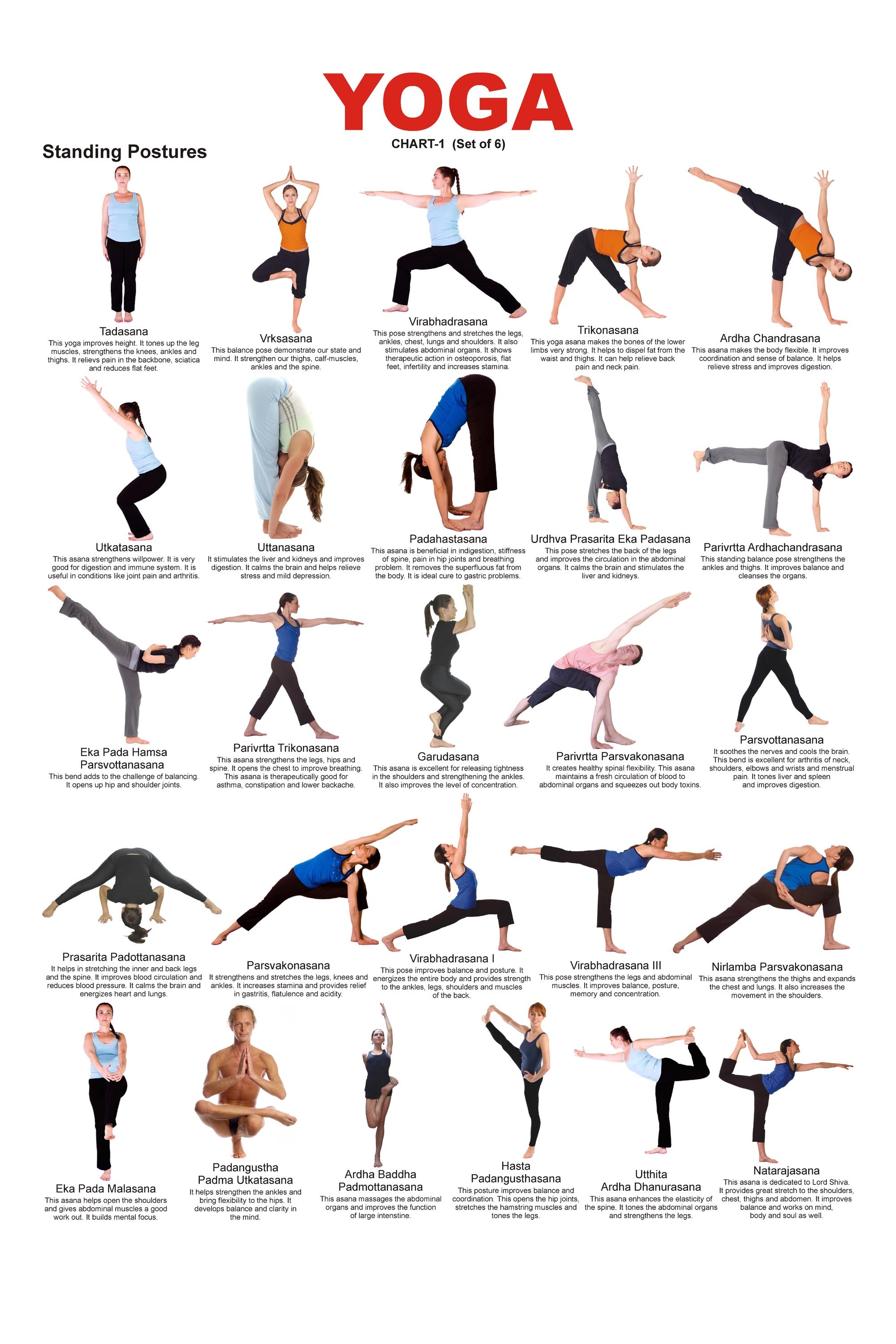 Types of Yoga Asanas with Pictures - Different Yoga Asanas Programmes