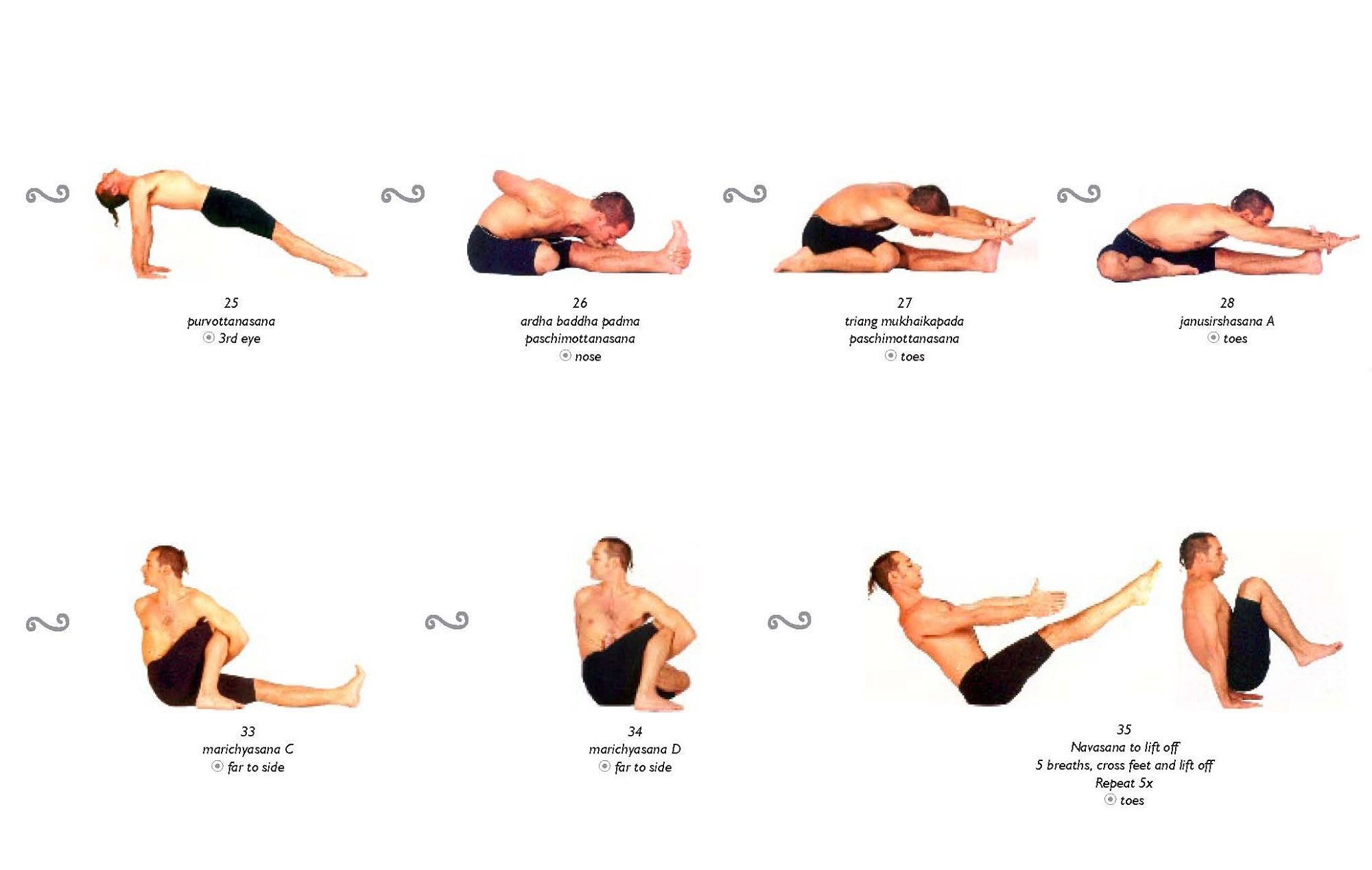 Different Sitting Positions In Yoga | International Society of Precision  Agriculture