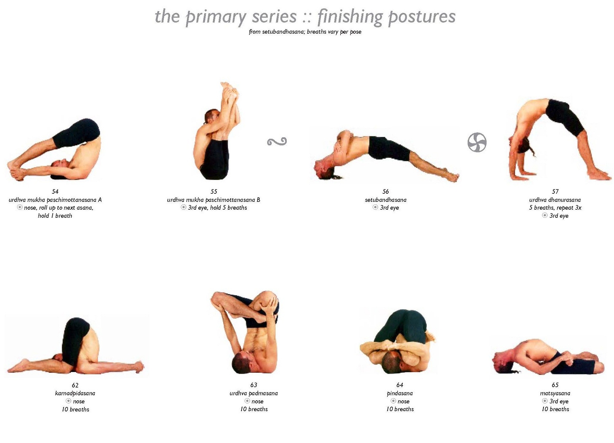 Yoga Pose Archetypes - 6 Yoga Pose Names from Animals, Nature and Tools -  Gaiam