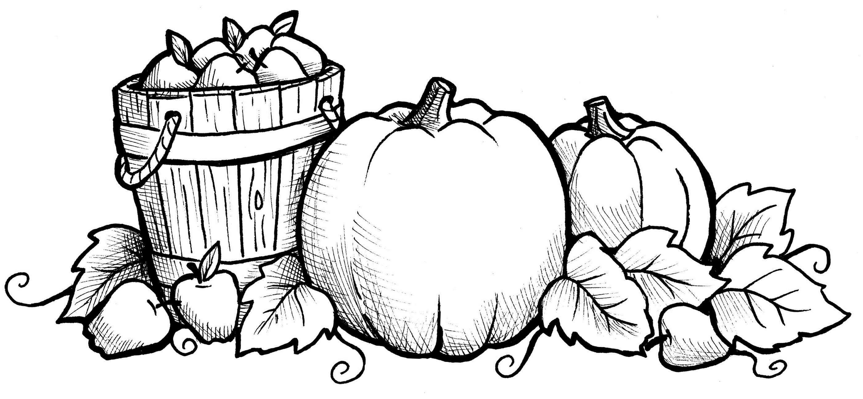 Fall Coloring Sheets Printable Activity Shelter