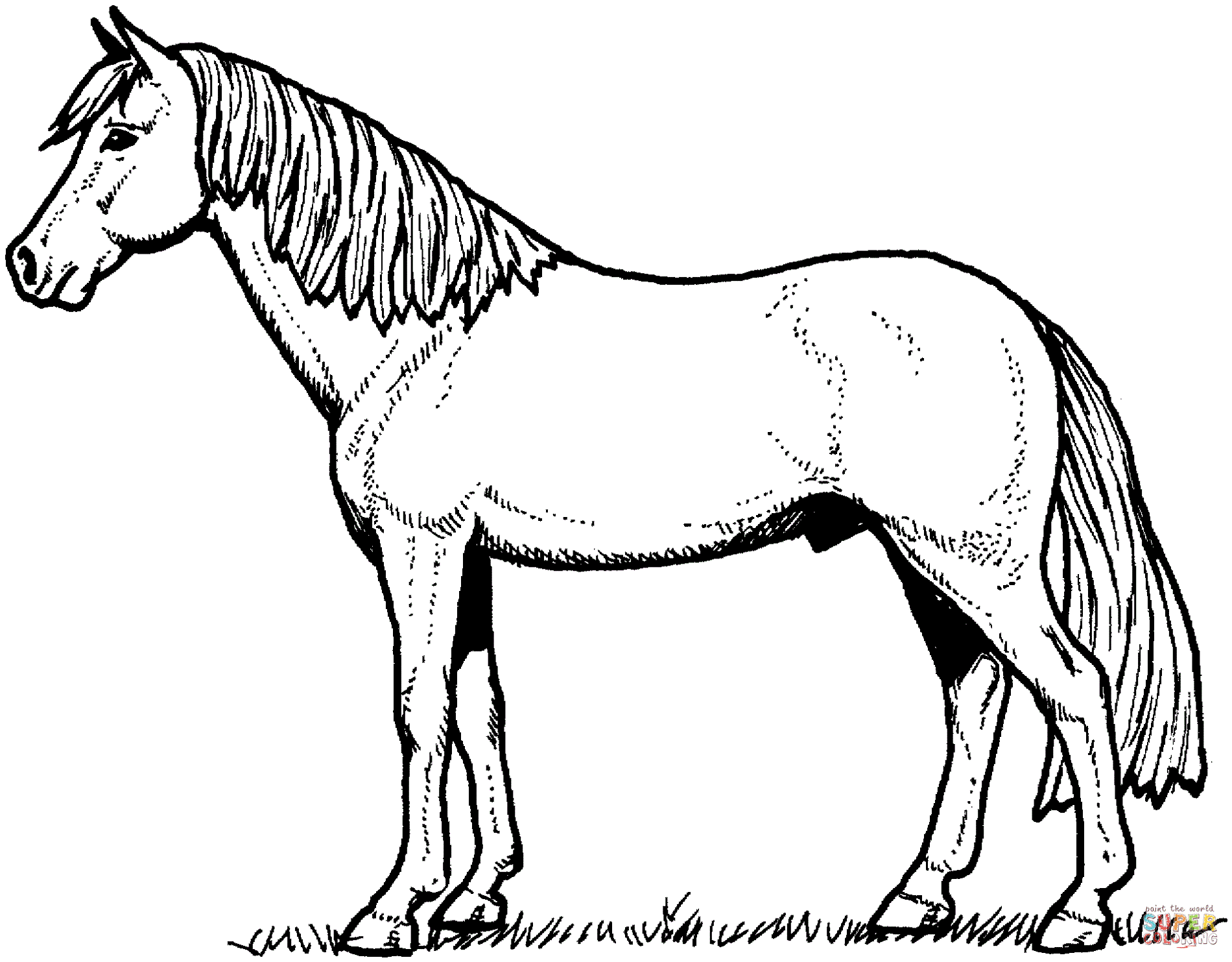 printable-color-pages-of-horses-activity-shelter
