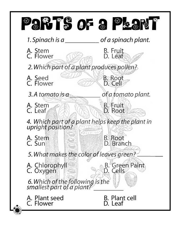 Free Printable Science Worksheets For 2nd Grade