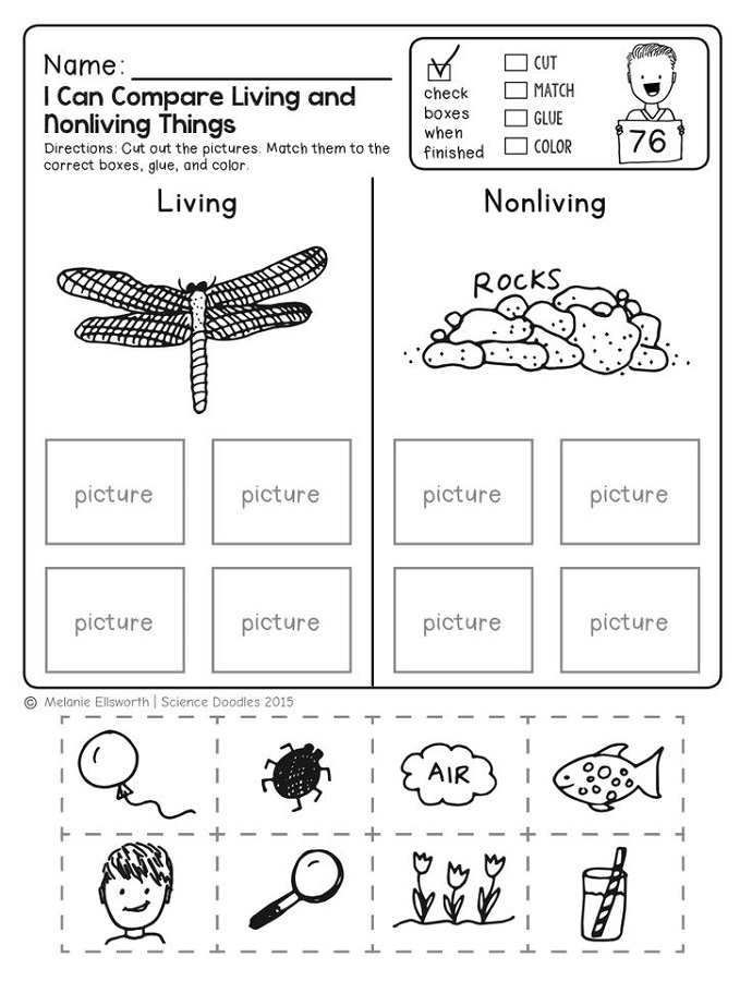 Printable Science Worksheets For Kids Free Science Printable Experiment Instructions Science 